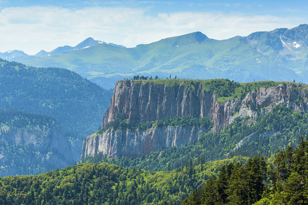 малые бамбаки.jpg