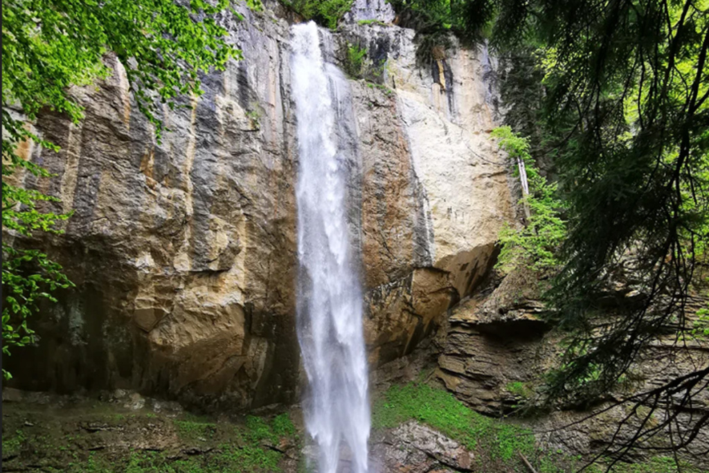 капуст вддд.jpg